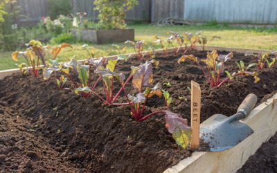 3 Dinge, die im März wichtig sind: